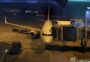 飞机内部爆料视频下载,爆料视频带你领略航空之旅的神秘面纱 第3张 飞机内部爆料视频下载,爆料视频带你领略航空之旅的神秘面纱 第3张