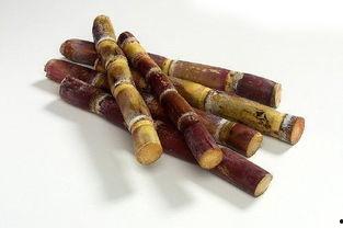 甘蔗爆料原视频,揭秘原视频背后的惊人真相