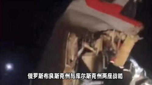 大鹅爆料间谍是真的吗视频,真相揭秘与视频分析