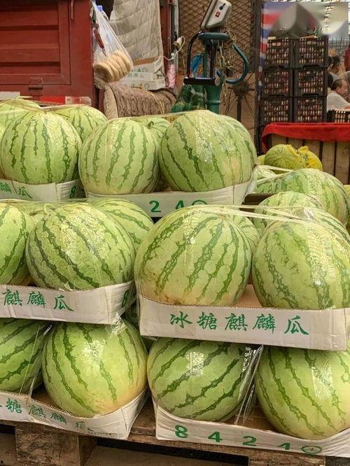 扫一扫免费吃瓜,免费瓜分惊喜,畅享夏日清凉! 第3张 扫一扫免费吃瓜,免费瓜分惊喜,畅享夏日清凉! 第3张